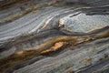 Metamorphic Rock Details - Natural Grainy Patterns