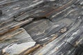 Metamorphic Rock Textures - Natural Grainy Patterns