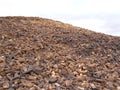 Metamorphic rocks in the Ramon crater in Israel