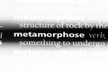 metamorphose