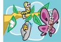 The metamorphosis of the butterfly. eggs, caterpillar, pupa, butterfly. Metamorphosis. Educational biology for kids. Cartoon Royalty Free Stock Photo