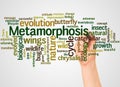 Metamorphosis word cloud and hand with marker concept Royalty Free Stock Photo