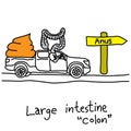 Metaphor function of large intestine or colon to take stools to