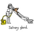 Metaphor function of salivary glands to produce saliva to make f