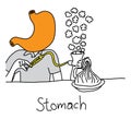 Metaphor function of stomach to secrete acid and enzymes that di