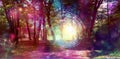 Metaphysical Energy Portal in Beautiful Ethereal Woodland Copse Royalty Free Stock Photo