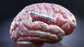 Metaphysics and a human brain