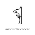 Metastatic cancer icon. Trendy modern flat linear vector Metastatic cancer icon on white background from thin line Diseases