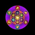 Metatrons Cube, Flower of Life. Gold Sacred geometry. Old Vintage Mystic icon platonic solids Merkabah, colorful geometric sign