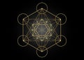 Metatrons Cube, Flower of Life. Golden Sacred geometry, graphic element Vector isolated Illustration. Mystic icon platonic solids Royalty Free Stock Photo