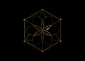 Metatrons Cube, Flower of Life. Sacred geometry, graphic element Vector isolated or black. Colorful Mystic icon platonic solids Royalty Free Stock Photo