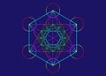 Metatrons Cube, Flower of Life. Sacred geometry, graphic element Vector isolated or blue. Colorful Mystic icon platonic solids