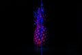 Metaverse digital Avatar, Metaverse Presence concept. Neon pineapple and it digital pixel reflection on black background