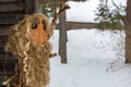 MeteÃâ i mumming mask with beard, made of hay, wood shreds and bark, staying in the snowy yard