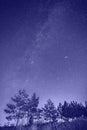 Meteor, Milky Way and Andromeda Galaxy. Pine trees against the background of the starry night sky. Royalty Free Stock Photo