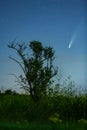 Meteor, shooting star or falling star seen in a night sky with clouds. Comet NEOWISE, C/2020 F3