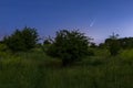 Meteor, shooting star or falling star seen in a night sky with clouds. Comet NEOWISE, C/2020 F3 Royalty Free Stock Photo