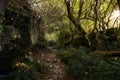 Meteora hiking trail in the forest, Greece Royalty Free Stock Photo
