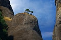 Meteora near Kalambaka, Greece - trees on the cliff