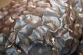 Meteorite texture background Royalty Free Stock Photo