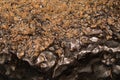 Meteorite texture background. meteorite surface close up Royalty Free Stock Photo