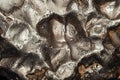 Meteorite texture background. meteorite surface close up Royalty Free Stock Photo