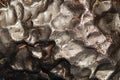 Meteorite texture background. meteorite surface close up Royalty Free Stock Photo