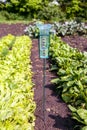 Meteorology with rain gauge in garden after the rain Royalty Free Stock Photo