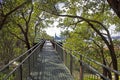 The canopy walkway of Lotterywest Federation Walkway Glass Arched at King`s Park and Botanical Garden in Perth, Australia. Royalty Free Stock Photo