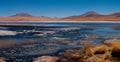 The Flamingoes of Laguna Colorada of the Southern Altiplano of Bolivia.