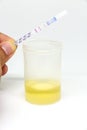 Methamphetamine test.The result showed nagative Royalty Free Stock Photo