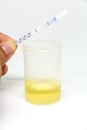 Methamphetamine test. The result showed positive Royalty Free Stock Photo