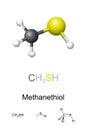 Methanethiol, methyl mercaptan, molecular model and chemical formulas