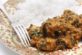 Methi chicken and rice meal Royalty Free Stock Photo