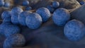 methicillin-resistant Staphylococcus aureus is a type of bacteria that is resistant to antibiotics
