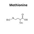 Methionine is an amino acid. Chemical molecular formula of methionine amino acid. Vector illustration on isolated