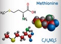 Methionine l- methionine, Met , M essential amino acid molecule. Structural chemical formula and molecule model