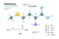 Methionine. Met C5H11NO2S. Essential Amino Acid. Structural Chemical Formula and Molecule 3d Model. Atoms with Color Coding.