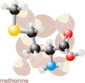 Methionine molecule 2