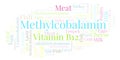 Methylcobalamin word cloud. Royalty Free Stock Photo