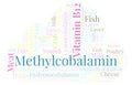 Methylcobalamin word cloud. Royalty Free Stock Photo