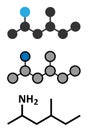 Methylhexanamine dimethylamylamine, DMAA stimulant molecule. Stylized 2D renderings and conventional skeletal formula