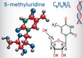 5-methyluridine ribothymidine - pyrimidine nucleoside molecule