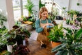 A Meticulous Middle-Aged Woman Expertly Dusting and Nurturing Potted Plants, Creating an Oasis of Green Tranquility