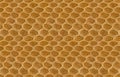 Gold Alligator Skin Leather Seamless Texture Photograph Royalty Free Stock Photo