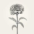 Meticulously Detailed Black And White Flower Illustration With Vintage Charm