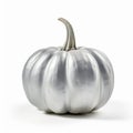 Meticulously Detailed Silver Pumpkin On White Background Royalty Free Stock Photo