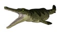 Metriorhynchus prehistoric fish - 3D render Royalty Free Stock Photo