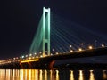 Metro Brige in Kiev Royalty Free Stock Photo