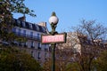 Metro sign subway in Paris Royalty Free Stock Photo